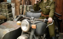 香蕉鱼观看在线视频网